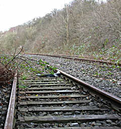 alte zweigleisige Bahnstrecke im Wald